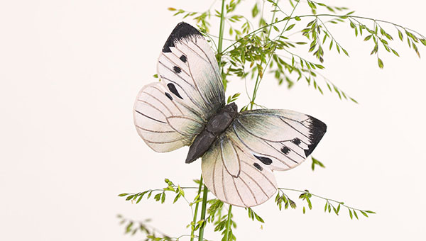 Wildlife Garden Schmetterlinge DecoButterflys®