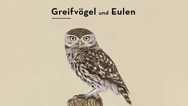 Bücher über Greifvögel Eulen