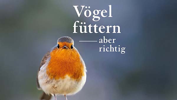 Bücher Vögel füttern