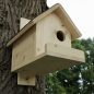 Preview: Eichhörnchen-Haus aus Massivholz mit Teerpappe