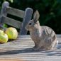 Preview: Europäisches Kaninchen handgeschnitzt