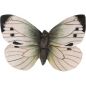 Preview: Großer Kohlweißling handgeschnitzter Schmetterling mit Magnet