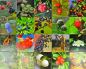 Preview: Merk-Spiel Blüte und Frucht 20 Bildpaare