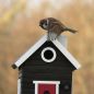 Preview: Wildlife Garden Schwedenhaus schwarz Vogel-/Futterhaus
