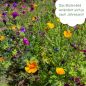 Preview: OwnGrown Wilde Weide Blumenmischung