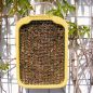 Preview: Schwegler Insektennistschilf mit Naturschilf Wildbienen Insektenhotel