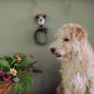 Preview: Wildlife Garden Haken Jack Russell Terrier