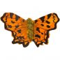 Preview: C-Falter handgeschnitzter Schmetterling mit Magnet