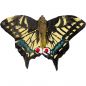 Preview: Schwalbenschwanz handgeschnitzter Schmetterling mit Magnet