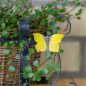 Preview: Zitronenfalter handgeschnitzter Schmetterling mit Magnet