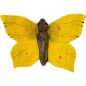 Preview: Zitronenfalter handgeschnitzter Schmetterling mit Magnet