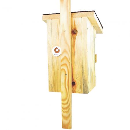 Vogelnistkasten aus Holz Rückseite montiert