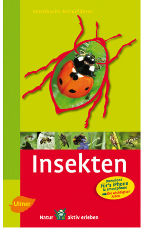 Insekten, Steinbachs Naturführer, Ulmer