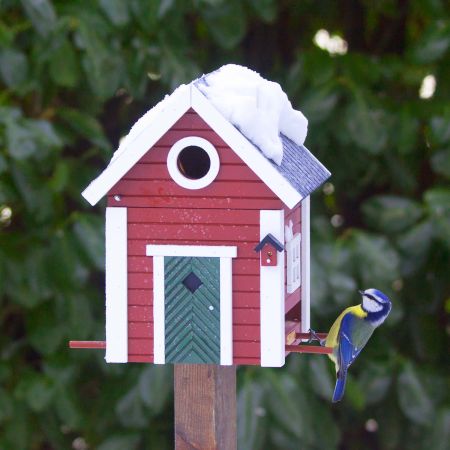 Schwedenhaus von Wildlife Garden mit Blaumeise