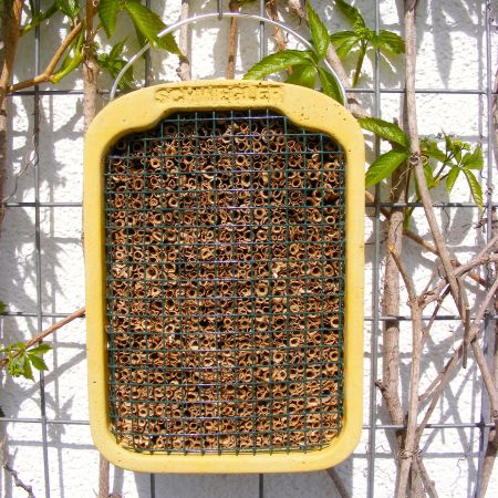 Schwegler Insektennistschilf mit Naturschilf Wildbienen Insektenhotel