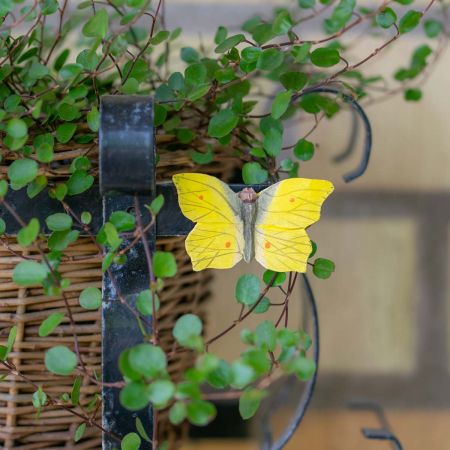 Zitronenfalter handgeschnitzter Schmetterling mit Magnet