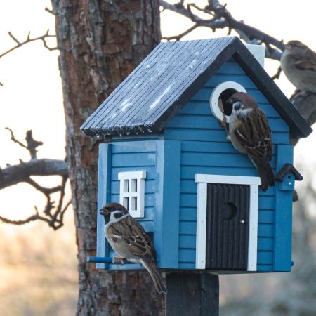 Wildlife Garden Schwedenhaus blau Vogel-/Futterhaus