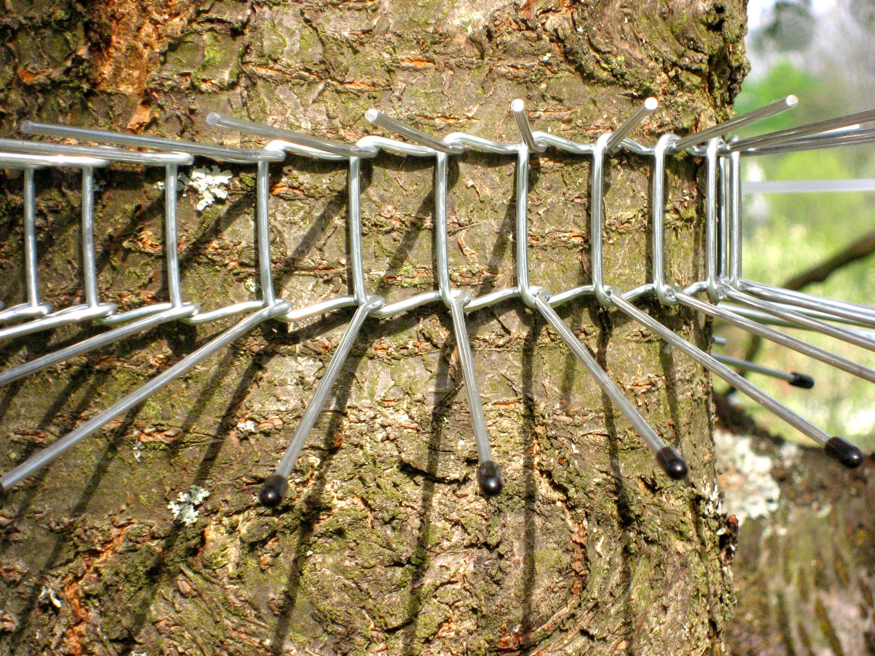 Schwegler Katzenabwehrgürtel groß 115 cm Vogelschutz