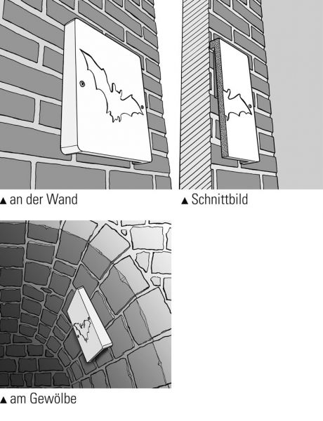 Schwegler Fledermaus Wandschale 2FE (2 Stück!)
