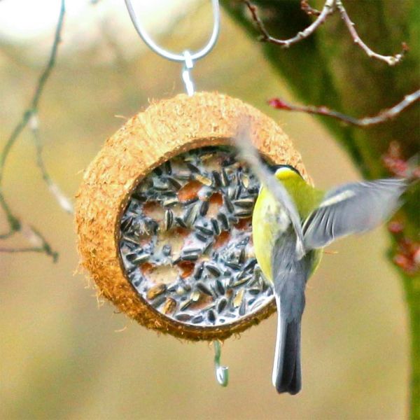 Rindertalg Block 12,5 kg zur Vogelfütterung