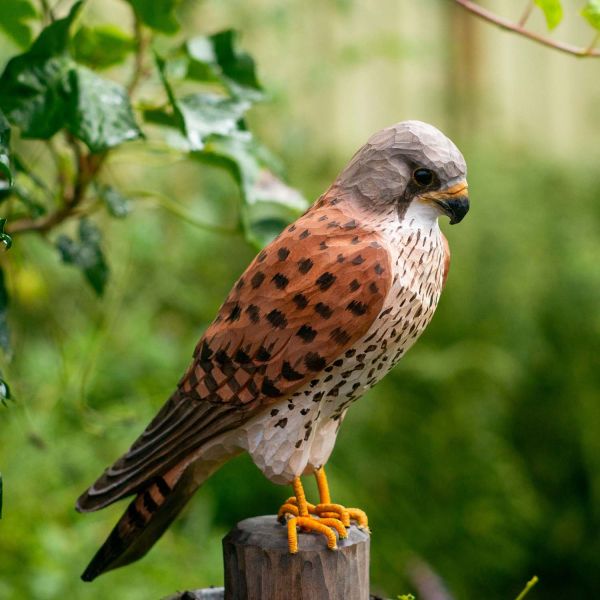 Turmfalke handgeschnitzt