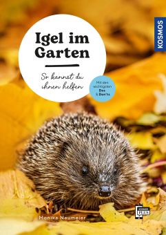 Igel im Garten - So kannst du ihnen helfen - Kosmos