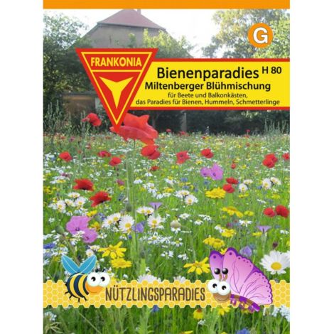 Saatgut Bienenparadies Miltenberger Blühmischung H80