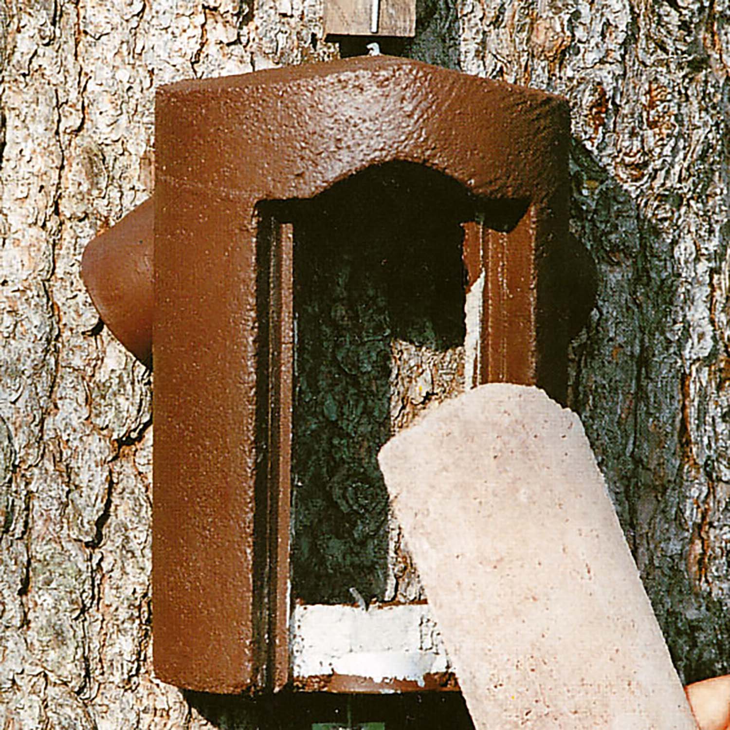 Schwegler Vorderwand Baumläuferhöhle 2B
