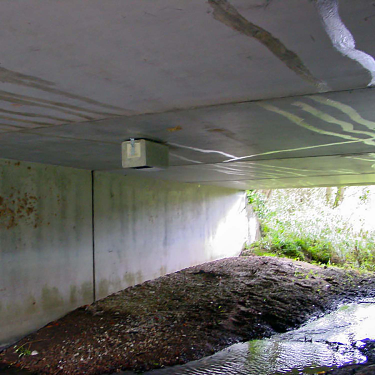 Schwegler Wasseramsel- und Bachstelzennistkasten Nr. 19