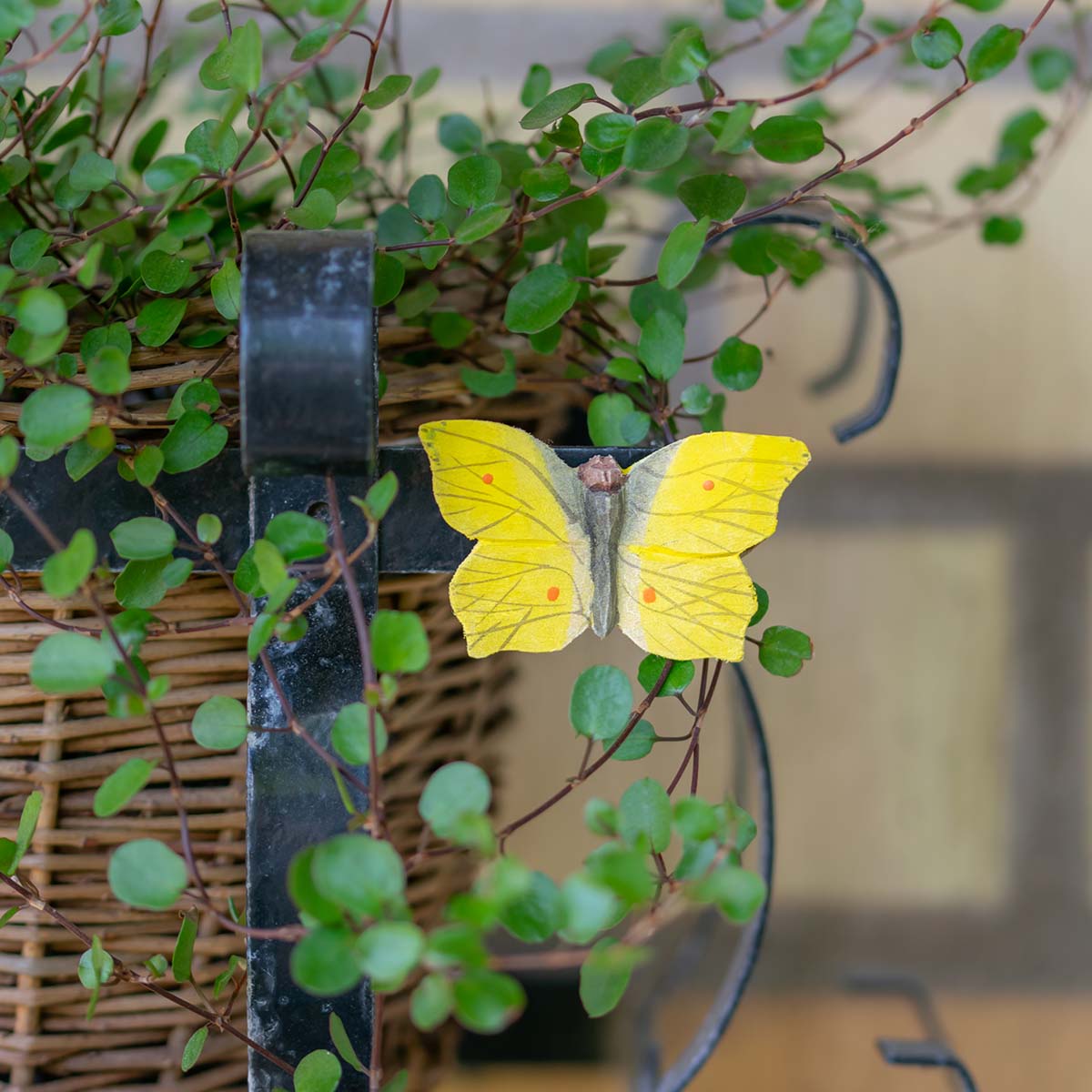 Zitronenfalter handgeschnitzter Schmetterling mit Magnet