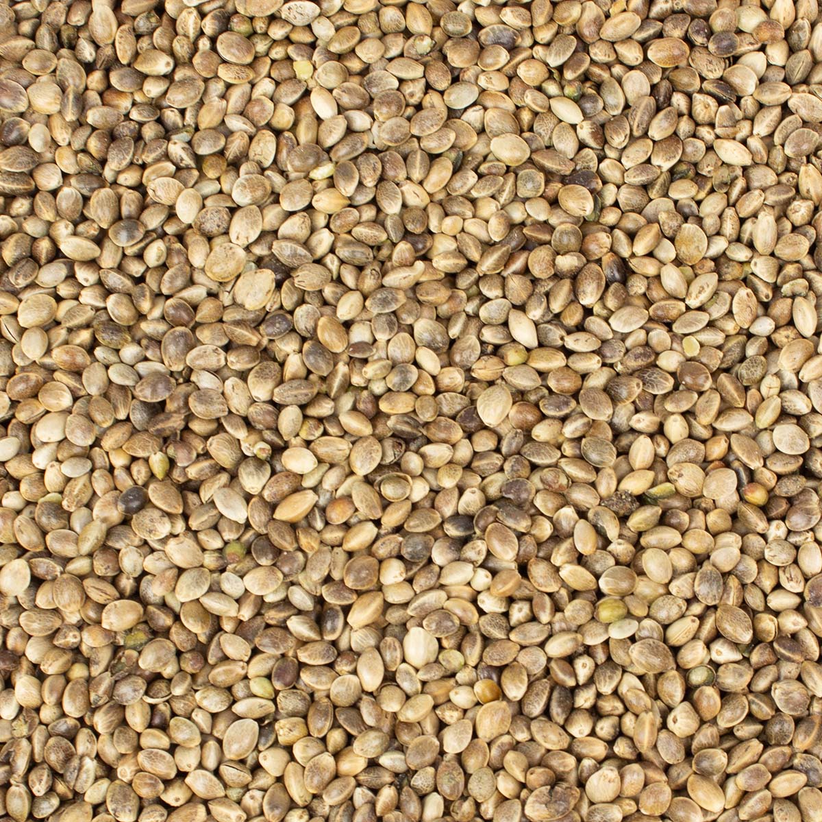 25 kg