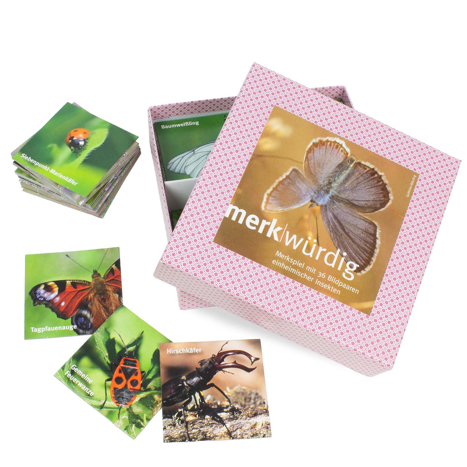 Merk-Spiel einheimische Insekten