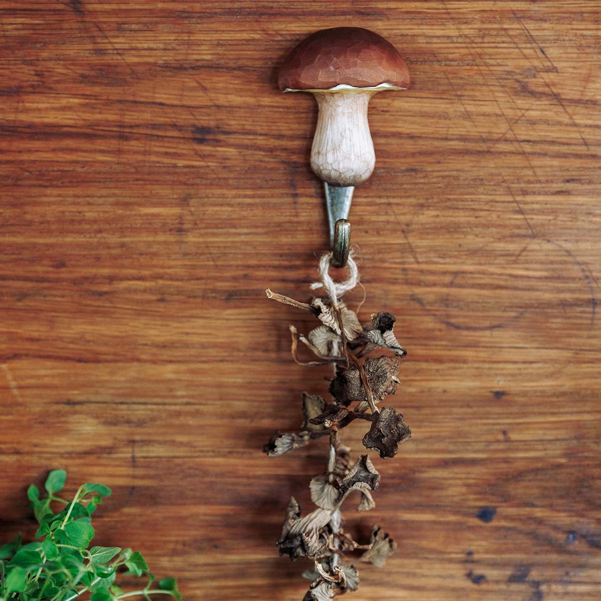 Wildlife Garden Haken Steinpilz