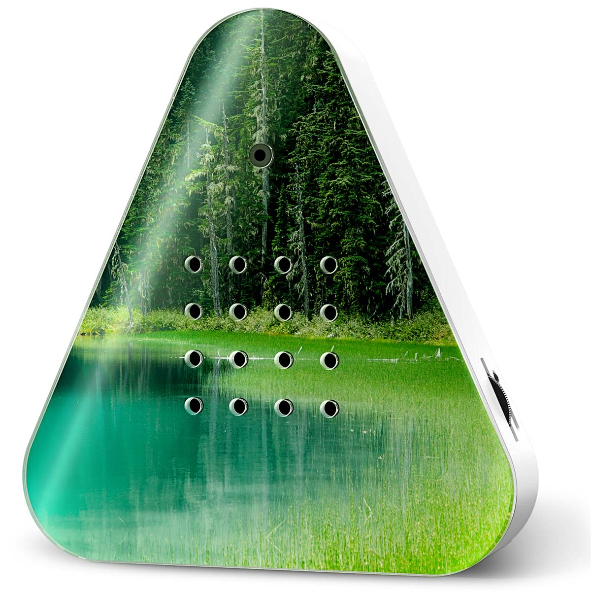 Lakesidebox Waldsee - Naturklänge vom Seeufer