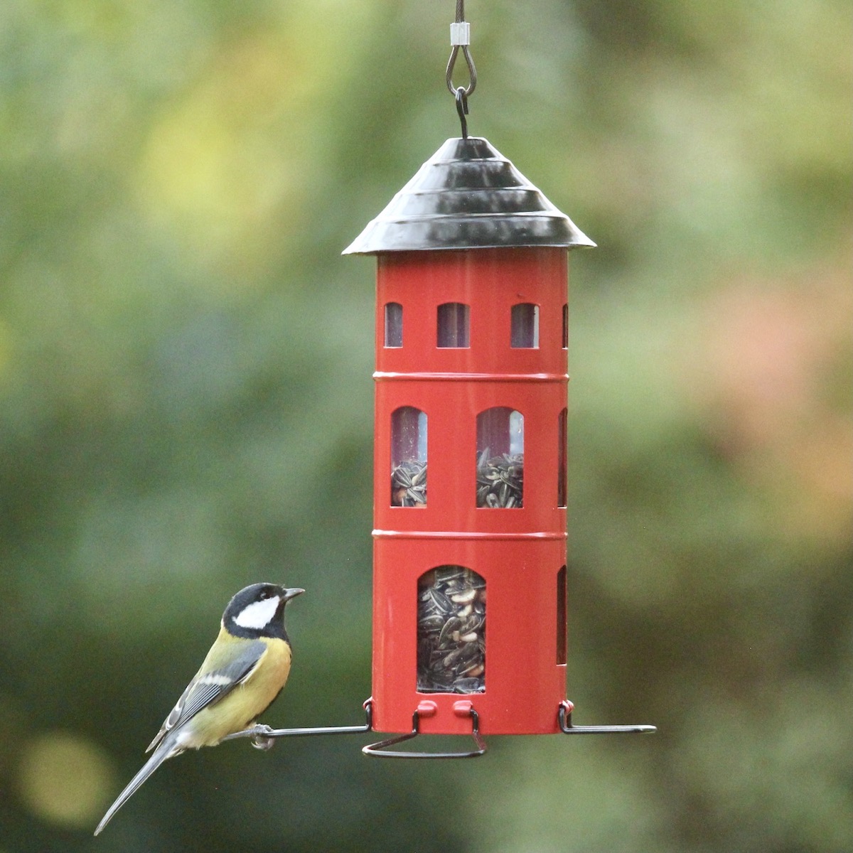 Wildlife Garden Kombi-Samen rot Futtersilo