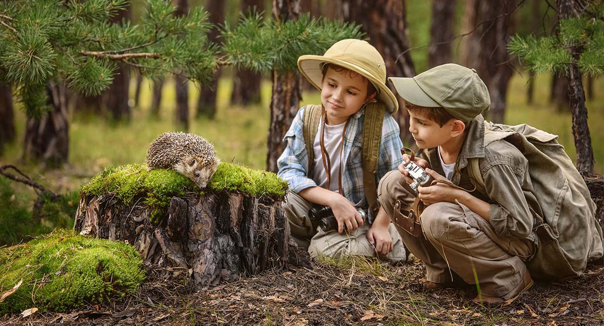 Kinder entdecken die Natur