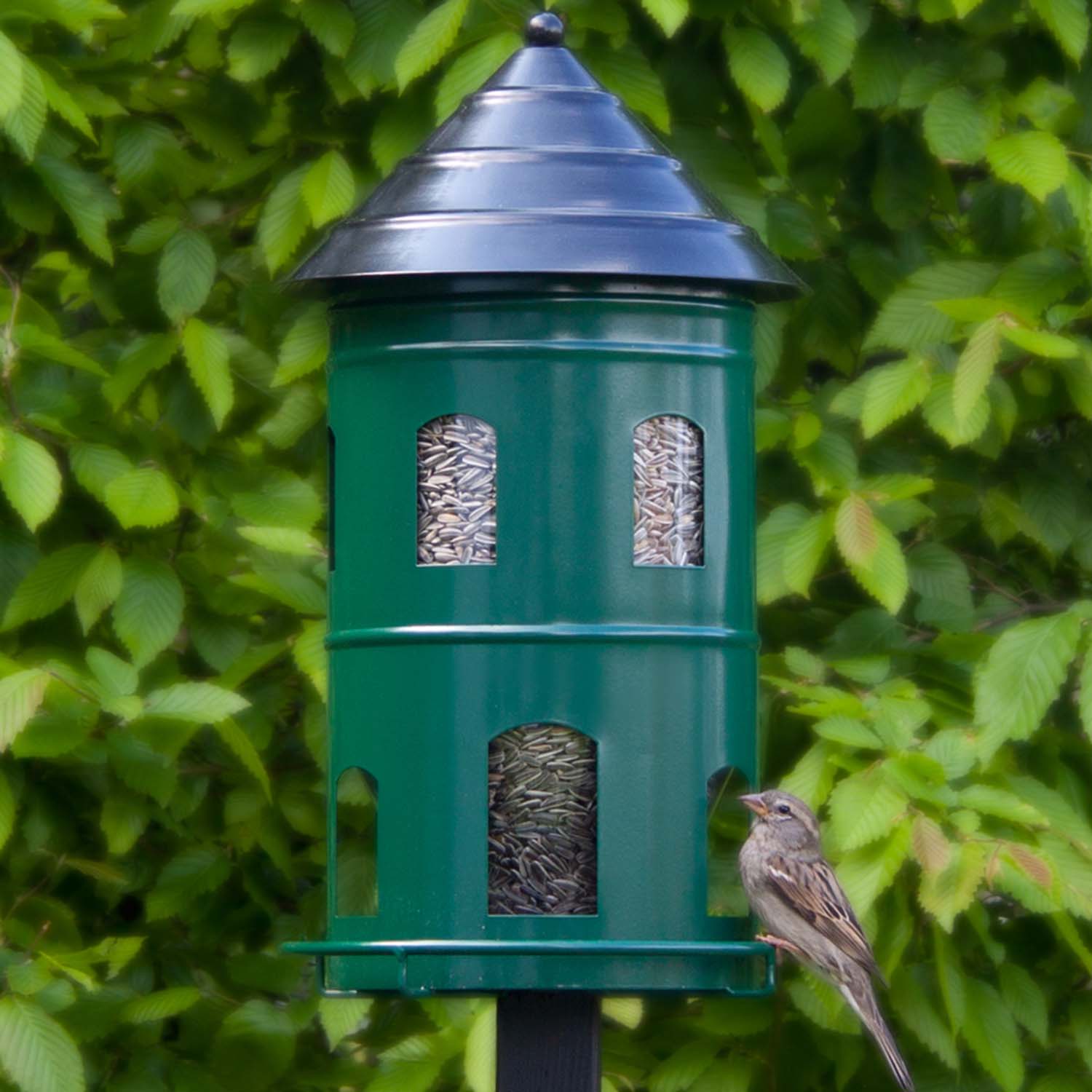 Wildlife Garden Gigant Futterstation grün