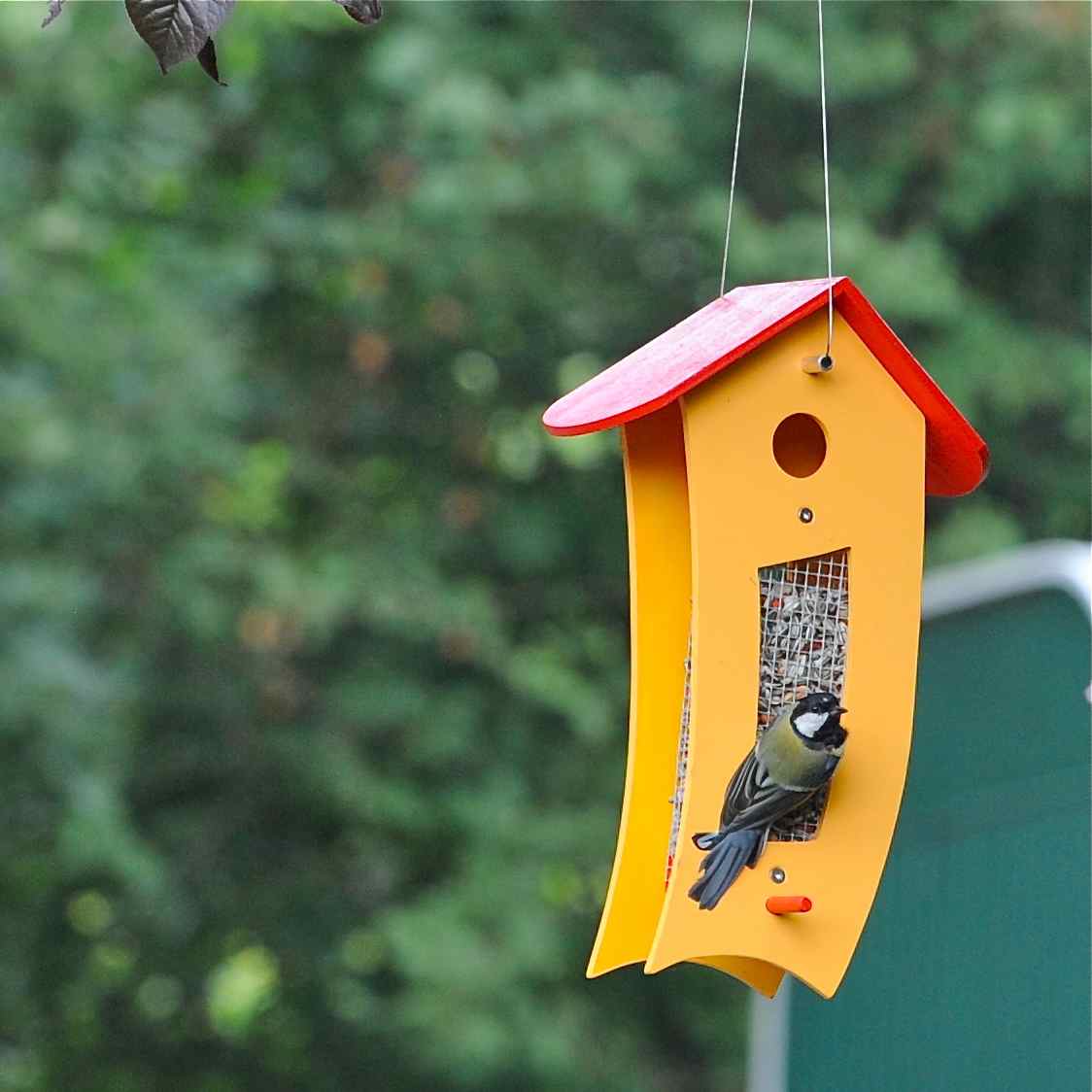 Futterspender gelb - Futtersilo für loses Vogelfutter