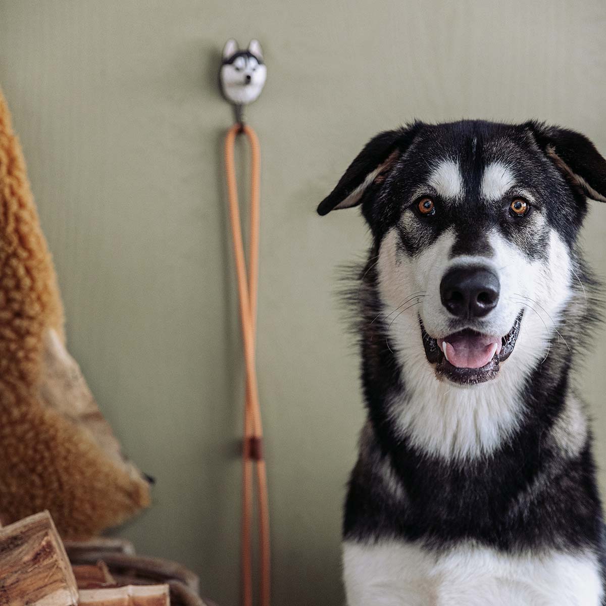 Wildlife Garden Haken Seberian Husky