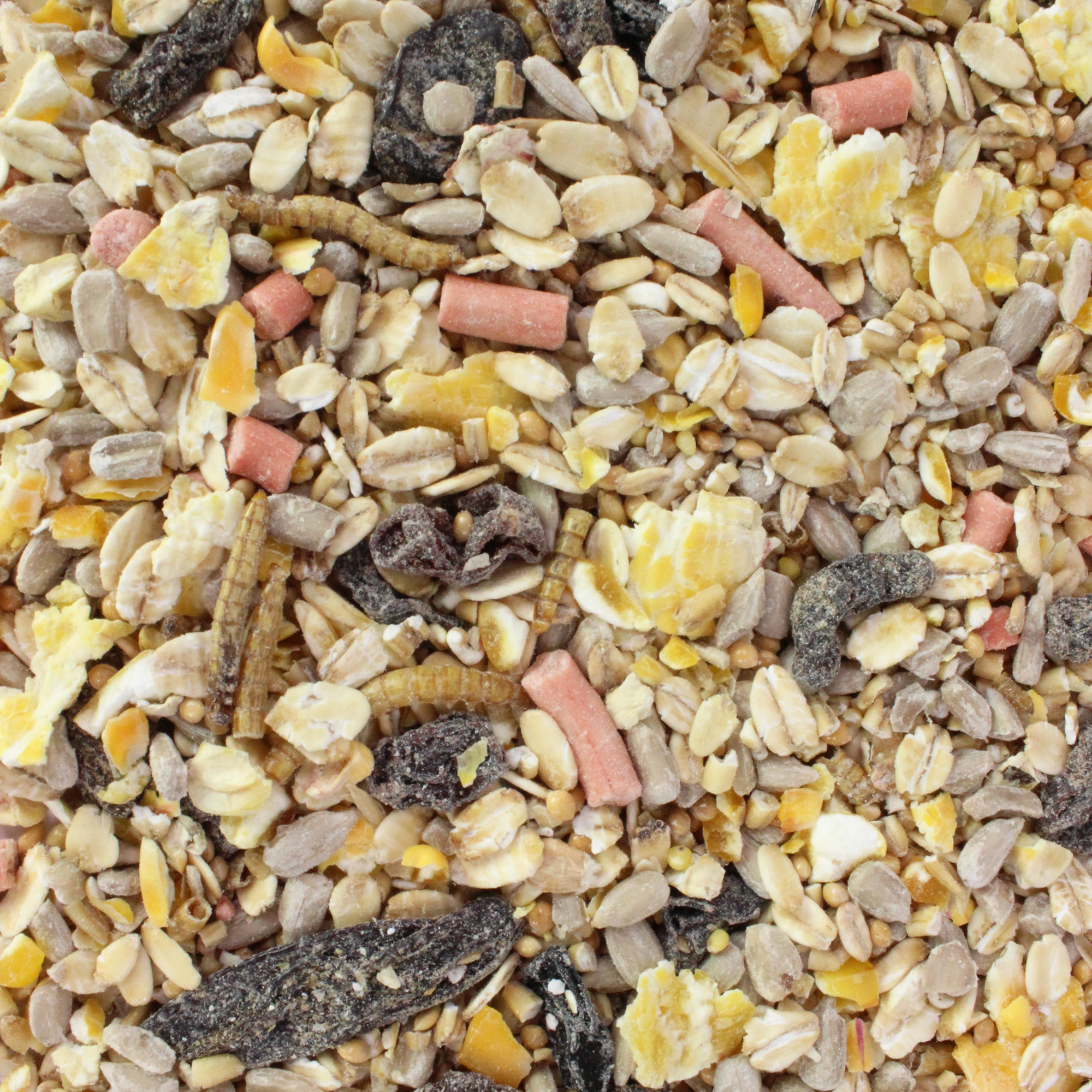 Rotkehlchenfutter 1 kg vom NABU empfohlen