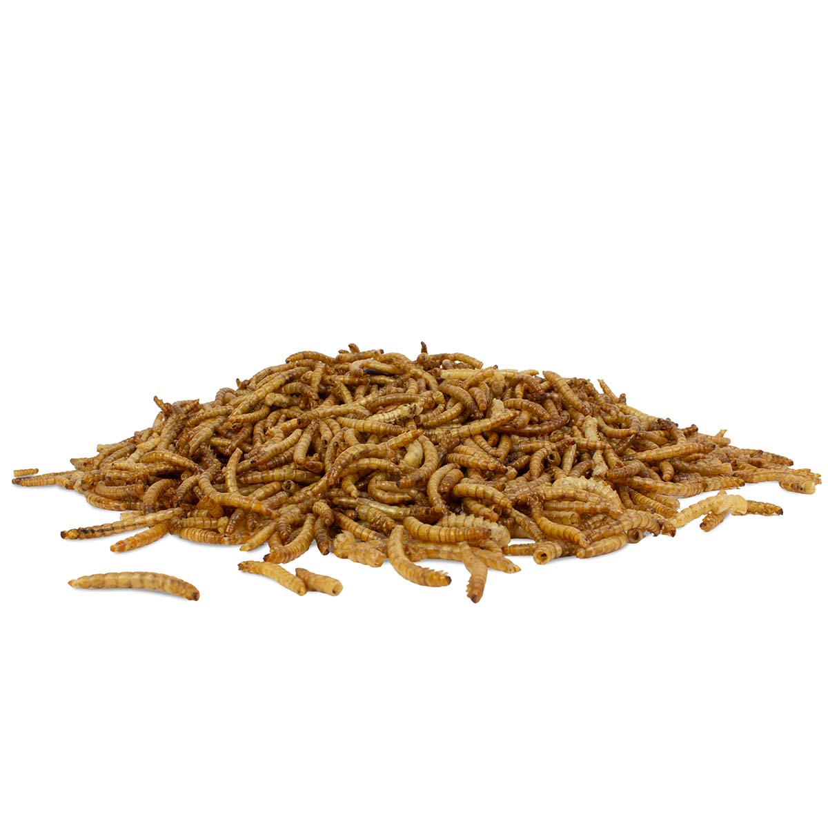 Mehlwürmer getrocknet 10 kg