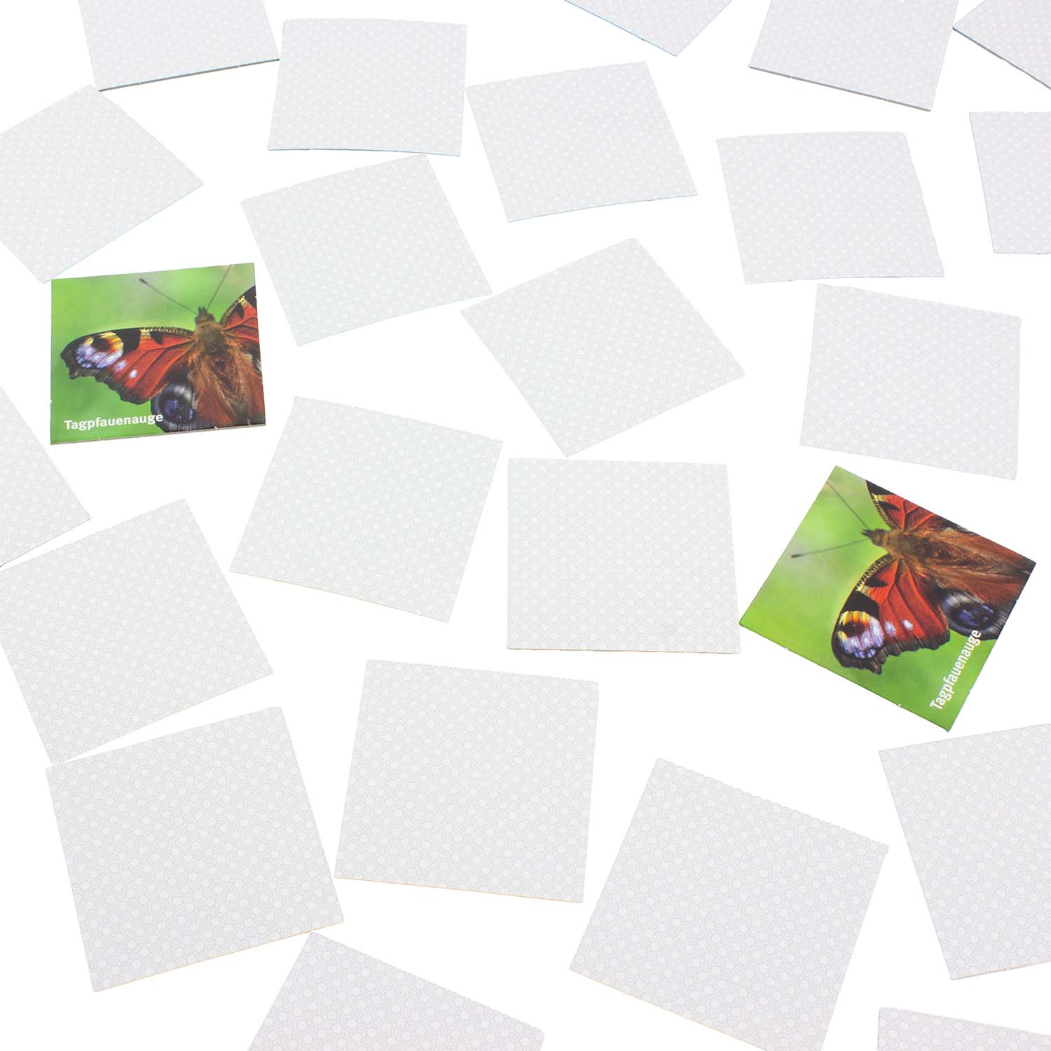 Merk-Spiel einheimische Insekten