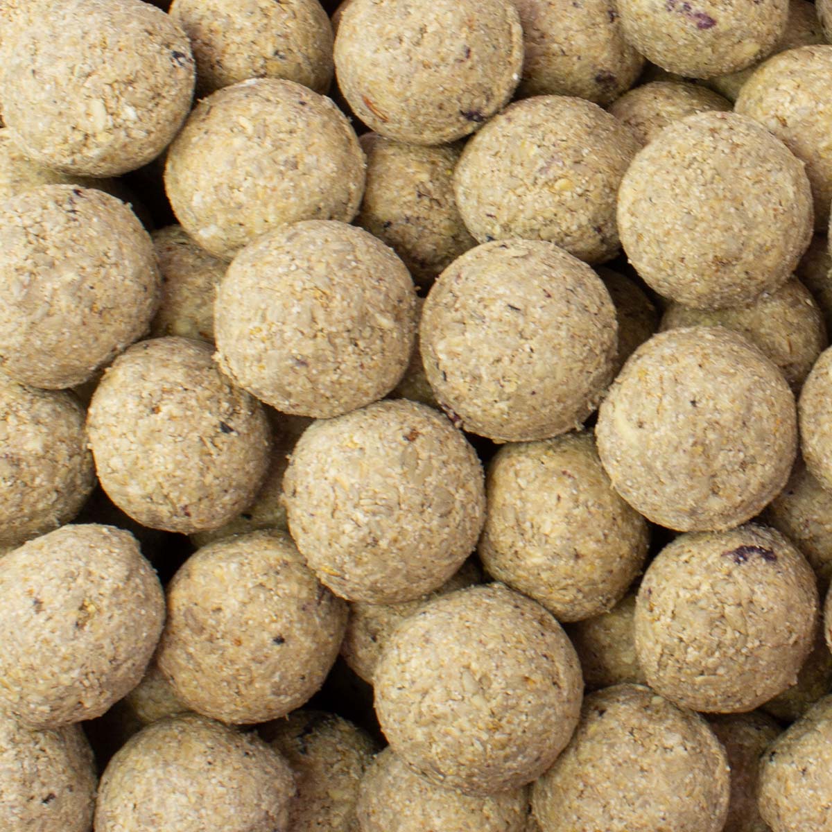 50 Meisenknödel mit Beeren und Insekten OHNE NETZ