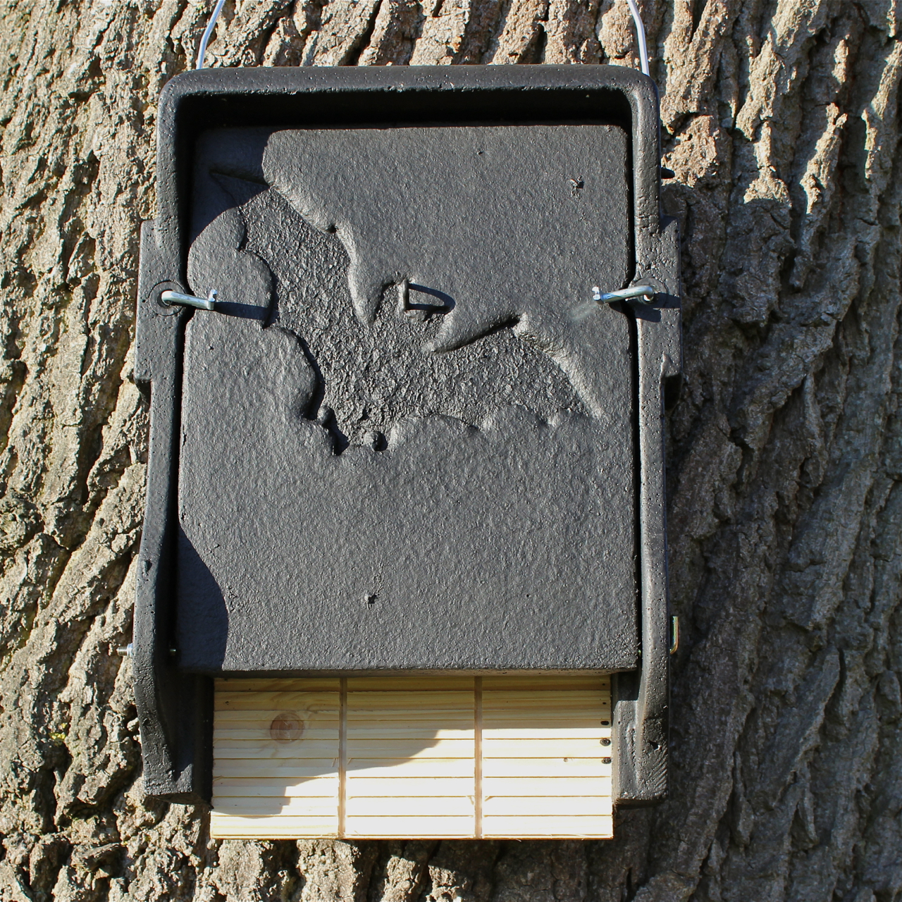 Schwegler Fledermaushöhle 1FF flach schwarz