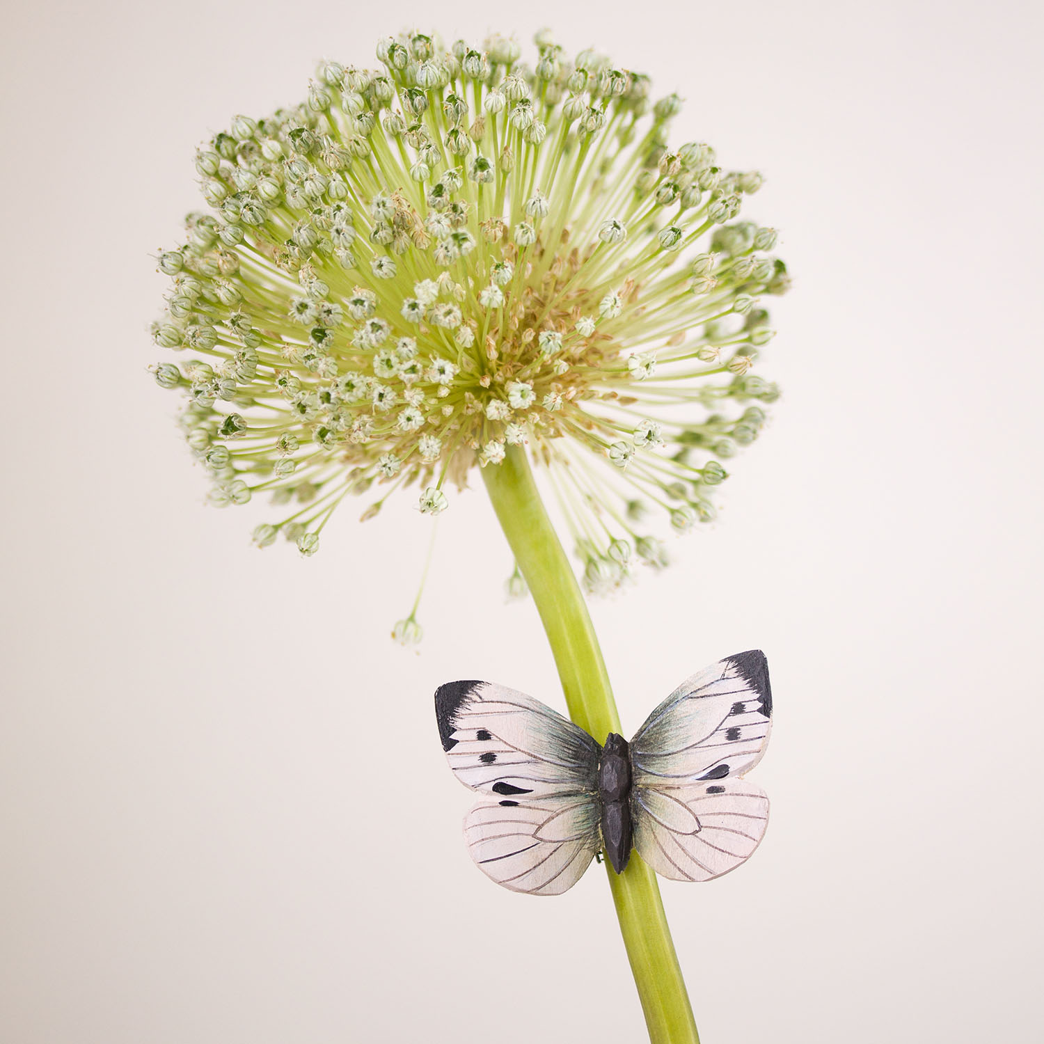 Großer Kohlweißling handgeschnitzter Schmetterling mit Magnet