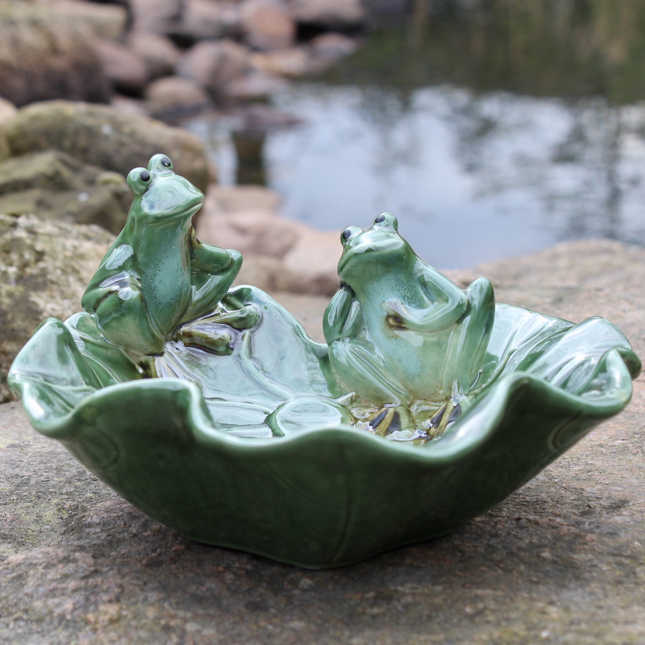 Vogeltränke Froschkonzert