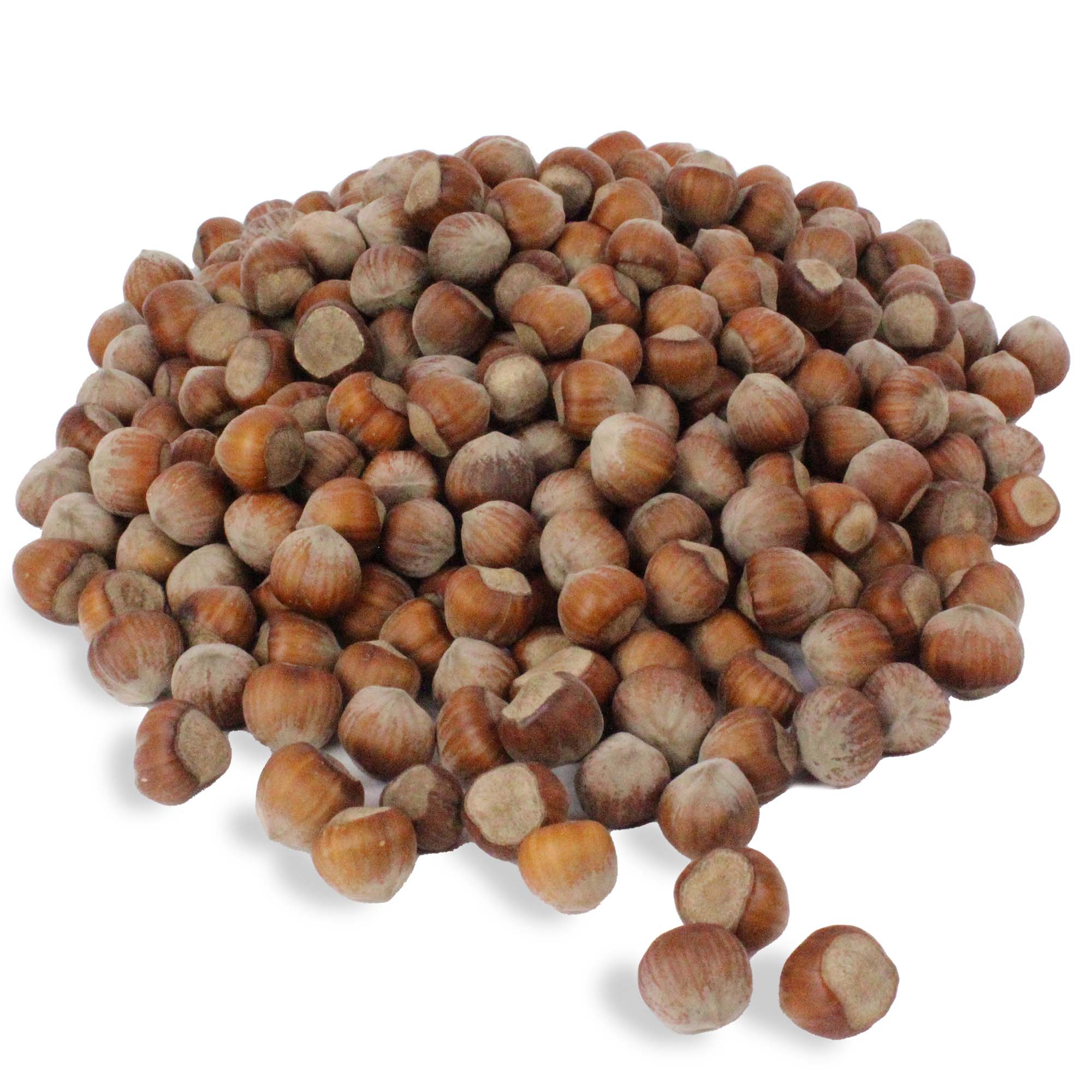 Haselnüsse 5 kg  für Futterzwecke