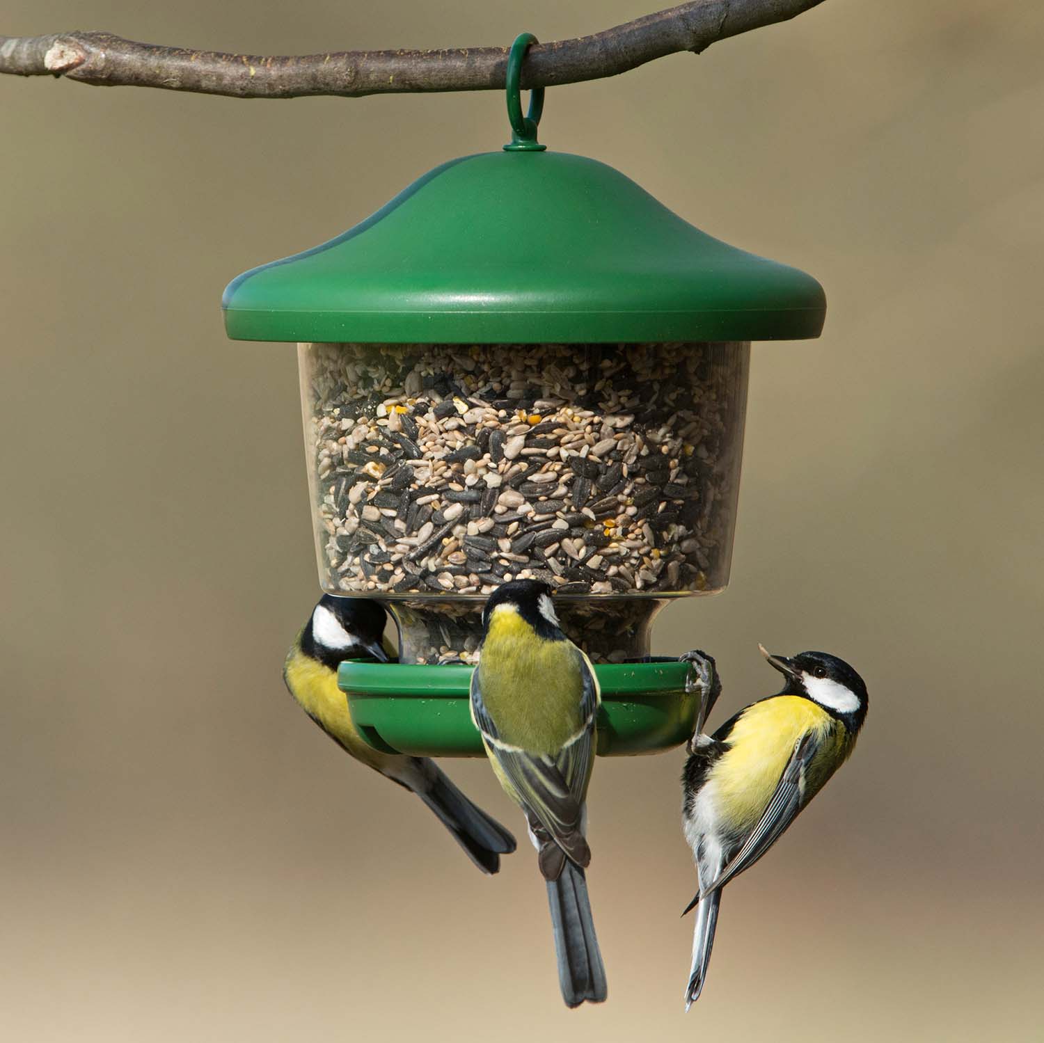 Schwegler Futterlampe für loses Vogelfutter