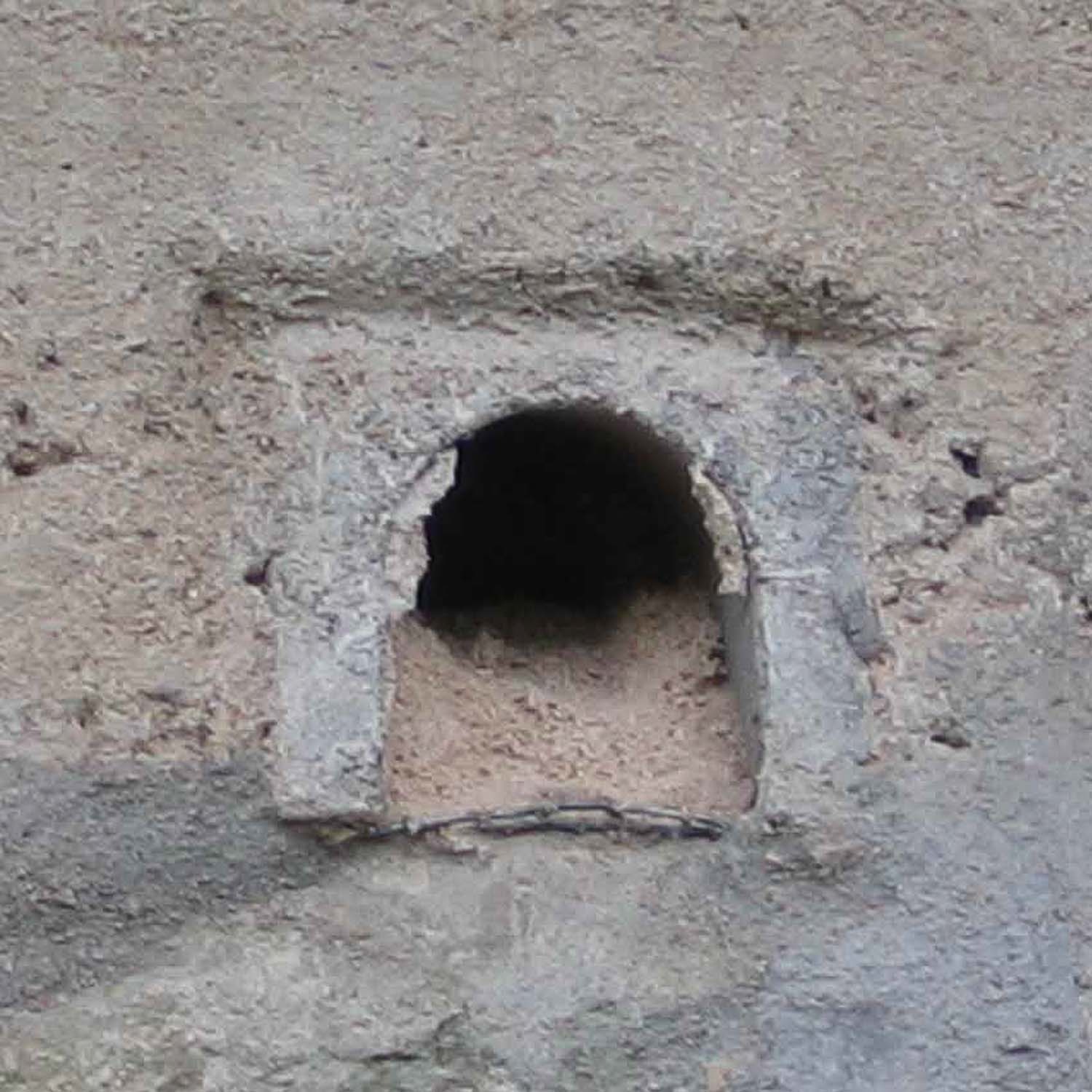 Schwegler Eisvogel-/ Uferschwalbenbrutröhre