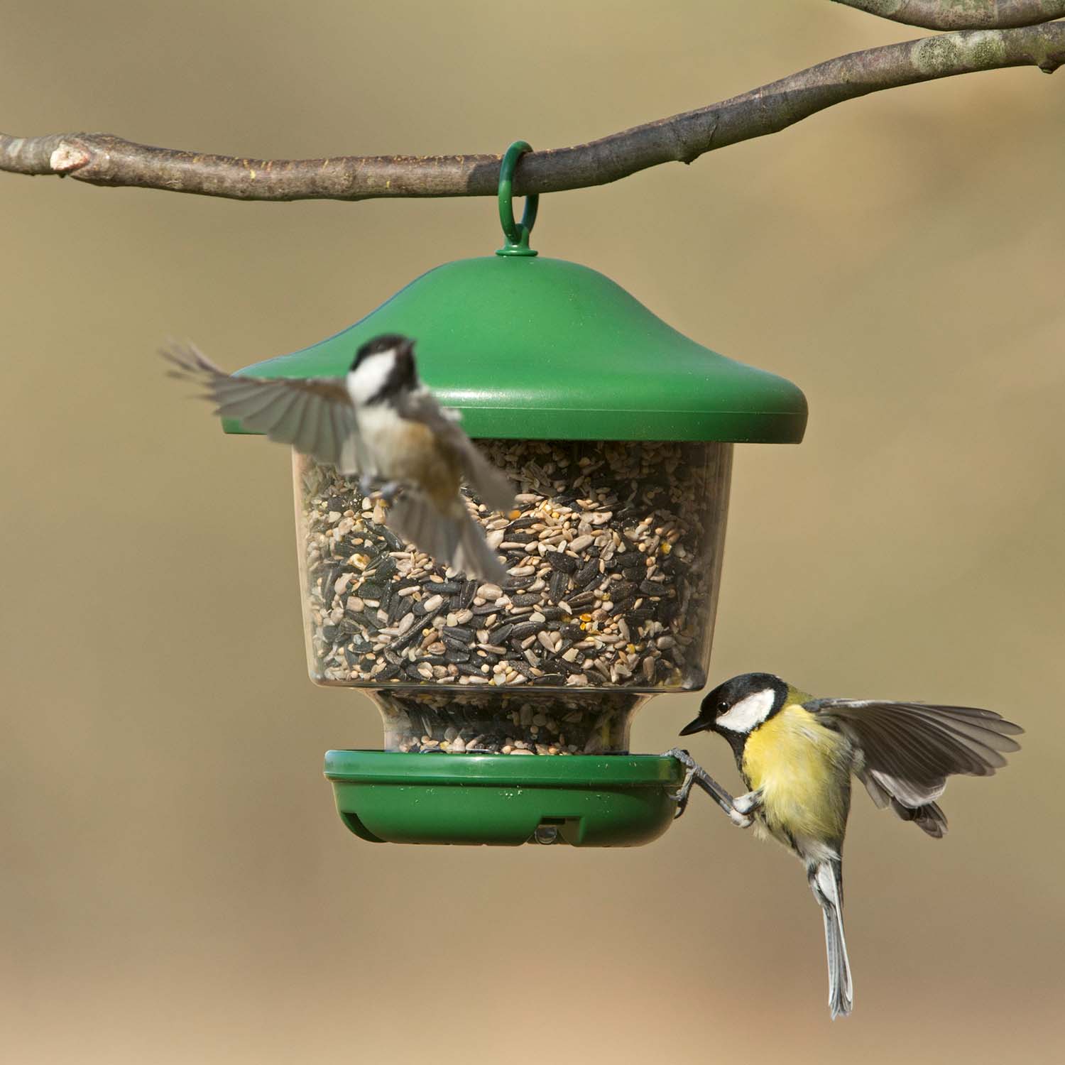 Schwegler Futterlampe für loses Vogelfutter